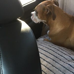 Meet your Posher, Dennis